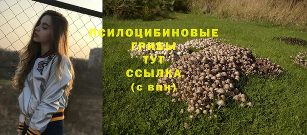 apvp Абаза