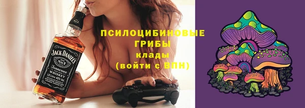 крисы Алексеевка