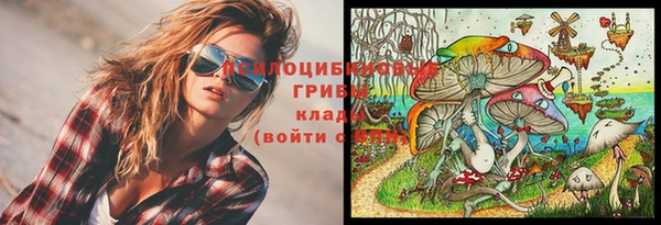 apvp Абаза